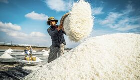 Begin your 90-day visa day with Vietnam’s tranquil ambiance